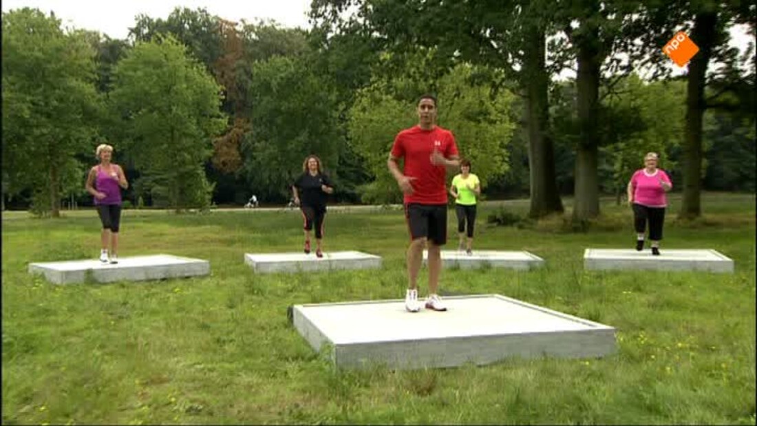 Nederland in Beweging